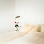 Bed & Breakfast Alger 3*