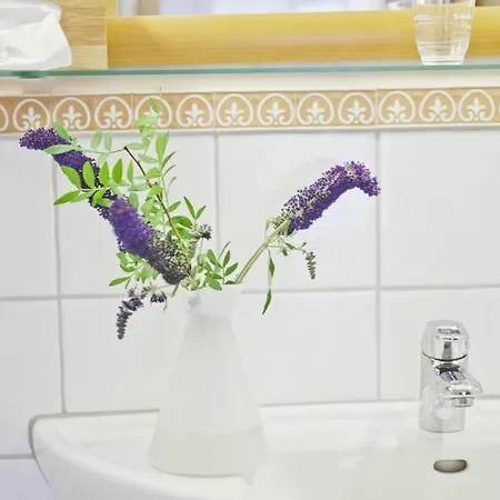 Alger Bed & Breakfast 3*